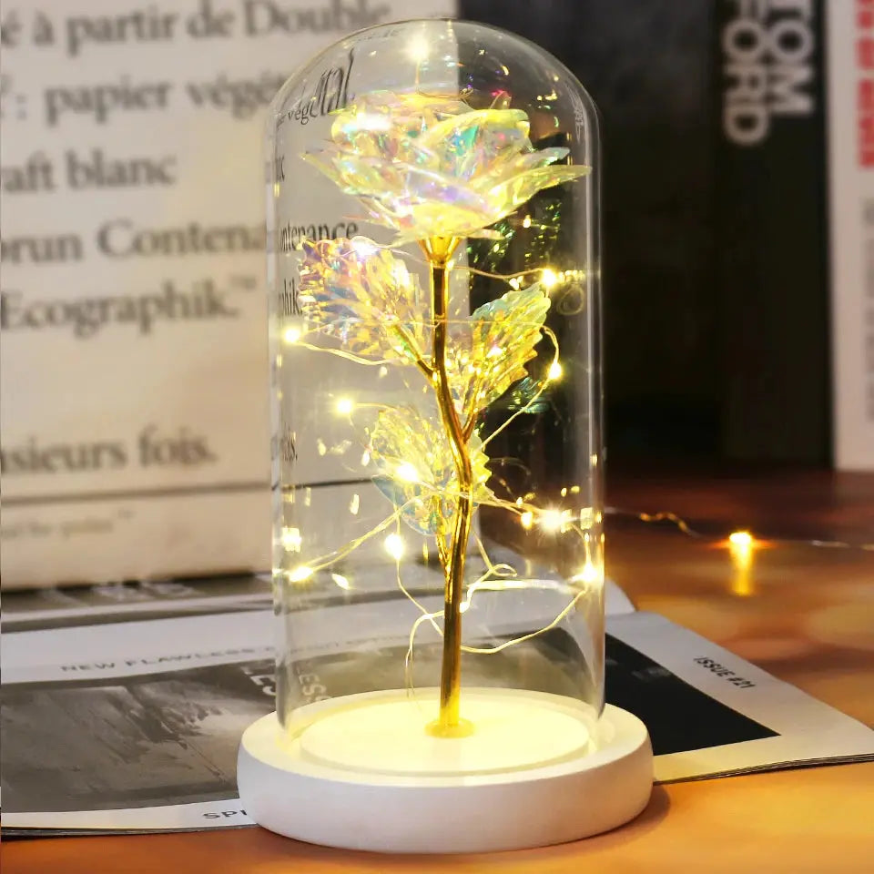 Lanterne de cœur Ma boutique